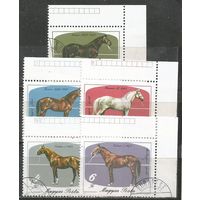 Венгрия. 200 лет коневодства. 1985г. Mi#3766-70. Серия.