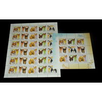 Россия.2000, 20 июля. Фауна. Декоративные породы собак. ЧИСТЫЕ МЛ +лист сцепок.