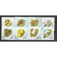 ФФ2 Монголия Фауна гаш