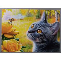 Любопытный кот. Стрекоза. Бриджит Вотх. Авторская открытка, глянец