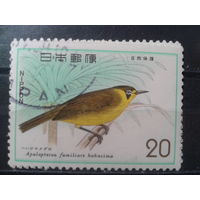 Япония, 1975. Медоед