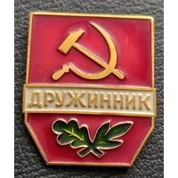 Дружинник