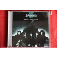 Domain - Before The Storm (1989, CD)