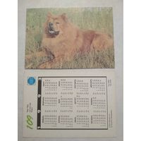 Карманный календарик. Собака.1993 год
