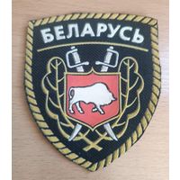 ШЕВРОН БЕЛАРУСЬ  номер 4