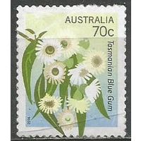 Австралия. Цветы. Ромашки. 2014г. St#3338.