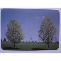 Календарик 1997 г. Белавиа.