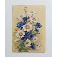 Почтовая карточка Васильки и ромашки. 1956 г. Подписана