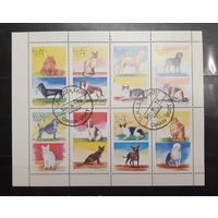 Оман. 1972 год. Фауна. Кошки и собаки (1325)