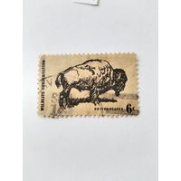 США  1970  бизон