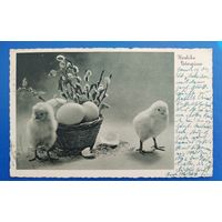 Открытка старинная. 1939 г. Пасхальная.