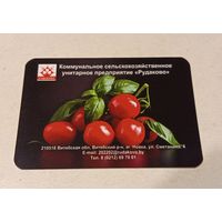 Карманный календарик "Рудаково". 2024 г.