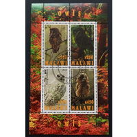 ЛИСТ ФАУНА животные  СТО