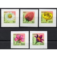 Беларусь 2002. Стандарт 6-й выпуск. Флора 5 марок  (245)