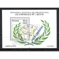 Международная филателистическая выставка OLYMPHILEX 87 Польша 1987 год 1 блок