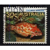 Австралия - 1984 [Mi. 881] Гашеная (AU23)