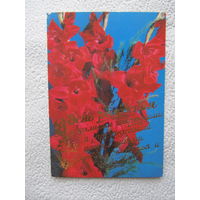 Открытка "С днём рождения",фото Самсоненко,1989-No129