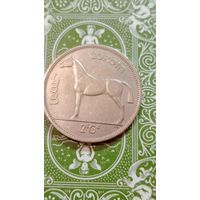 Ирландия пол кроны 1959