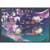 Конго(Республика). Кошки. 2013г. Блок.