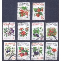 Беларусь стандарт ягоды