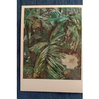 Огороды Бонгу. Новая Гвинея. Художники Плахов, Алексеев. 1979 Путешествия