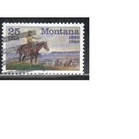 США-1989, (Мих.2027),  гаш., Штат Монтана, Ковбой, Живопись (одиночка)