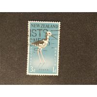 Нов.Зеландия  1959 птицы