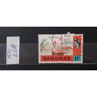 РАСПРОДАЖА. БАГАМСКИЕ ОСТРОВА 1971г. Гаш.