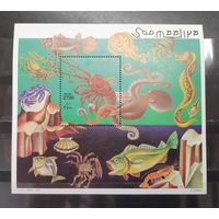 Сомали. 1998 год. Фауна моря (блок) (1244)