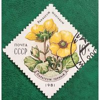 СССР 1981. Парагеум горький