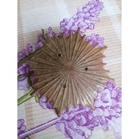 Часть полкового знака 1го полка лёгкой кавалерия Пилсудского