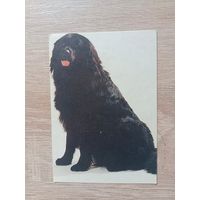 Календарик 1992-1993