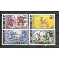 ФФ1 Монголия 1984 Фауна