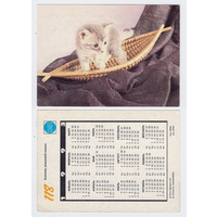 Календарь котенок домашней кошки N118 1993