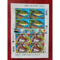 Украина. 2024. Фауна черного моря. Рыба и краб. Лист