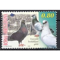 Босния и Герцеговина 1999. Голуби 1 марка 162