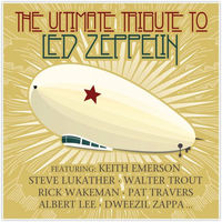 The Ultimate Tribute To Led Zeppelin - Various, LP, GERMANY 2008