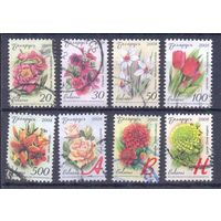 Беларусь стандарт цветы