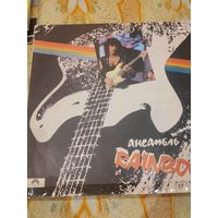 Виниловая пластинка гр. Rainboy
