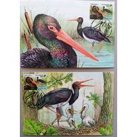 Черный аист. Картмаксимум, серия, 2026