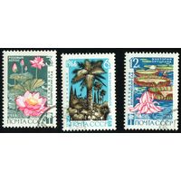 Сухумский ботанический сад СССР 1966 год серия из 3-х марок