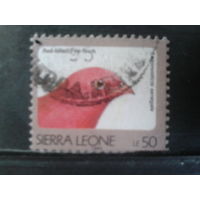 Сьерра-Леоне, 1994. Красноклювый амарант