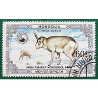 Монголия 1986. Фауна. Saiga Tatarica Mongolica
