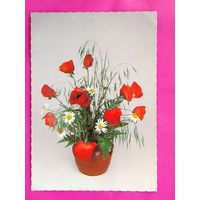 Будапешт. Цветы. Подписанная. 42.