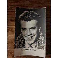 Артисты Шалевич