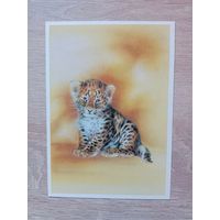 Исаков 1989 чистая