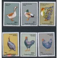 РУМЫНИЯ 1995г. ДОМАШНЯЯ ПТИЦА   MNH