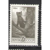 Марки СССР. 1984 г. Стандарт. Соболь. (норм.)