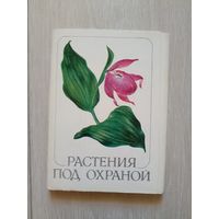 Растения под охраной. худ. Шипиленко.  Набор. Комплект. 1981 г. 32 шт.