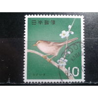 Япония, 1964. Кустарниковая камышовка